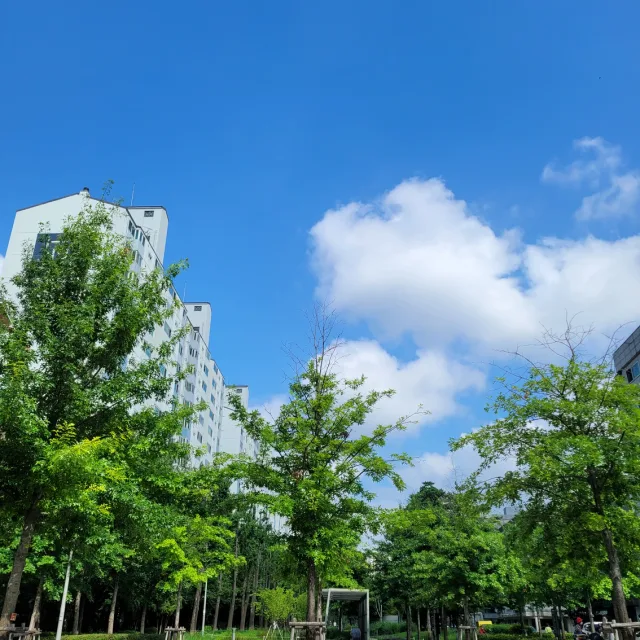 당근좋아요