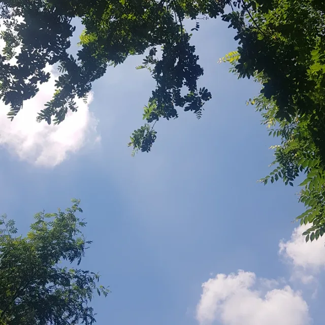 윤이
