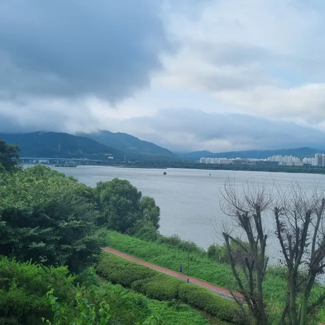 하늘바라기
