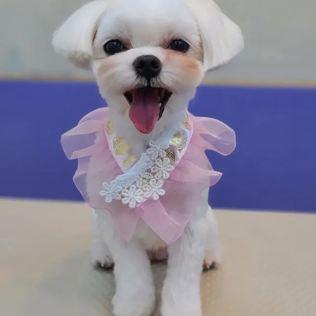 겨울에태어난