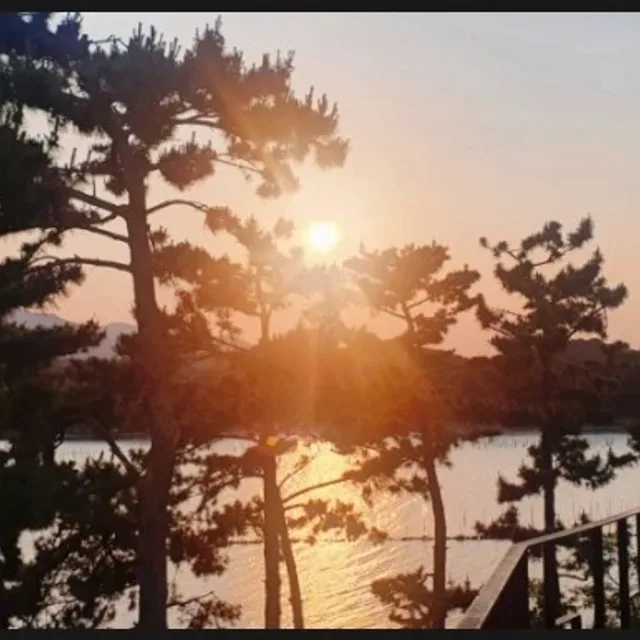 열무