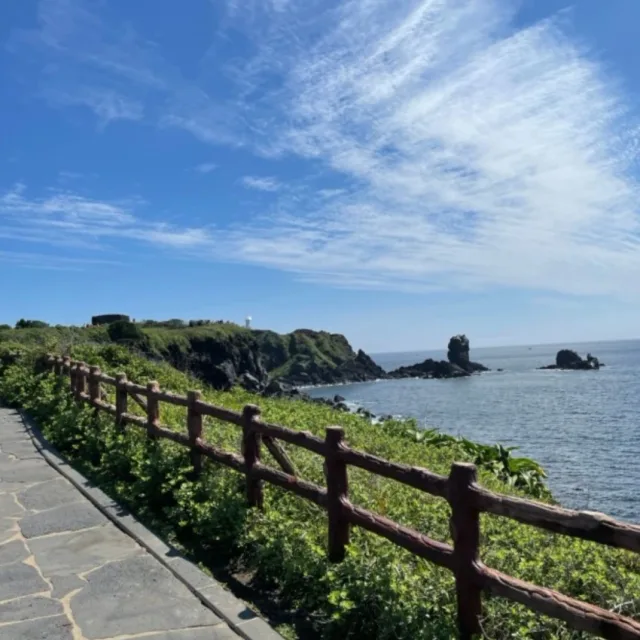 쥐돌이