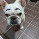 대장