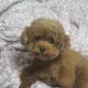 yammy