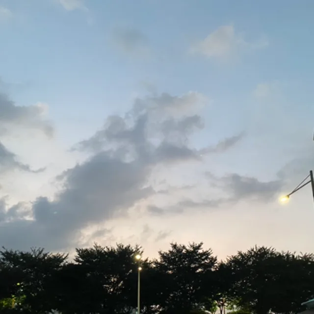 체크무늬당근