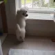 갈바람서니