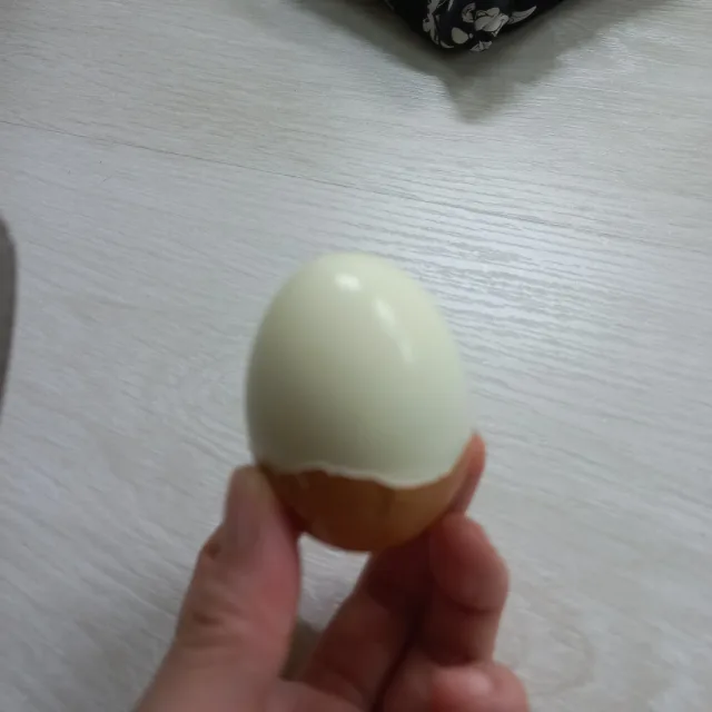 계란이