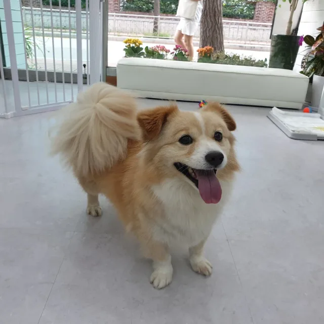 보리엄마