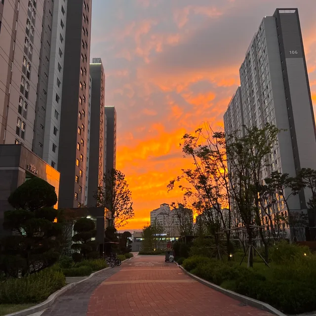 드림