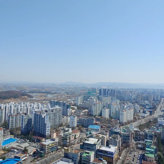 당근부탁해요