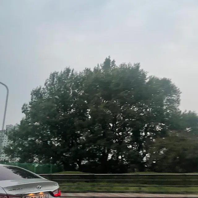푸푸렘