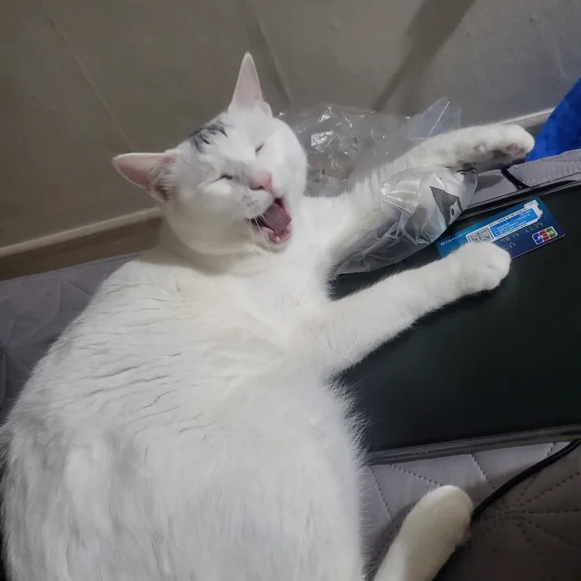 달승