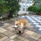 이선생