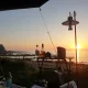 토니토르