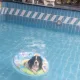 하이볼