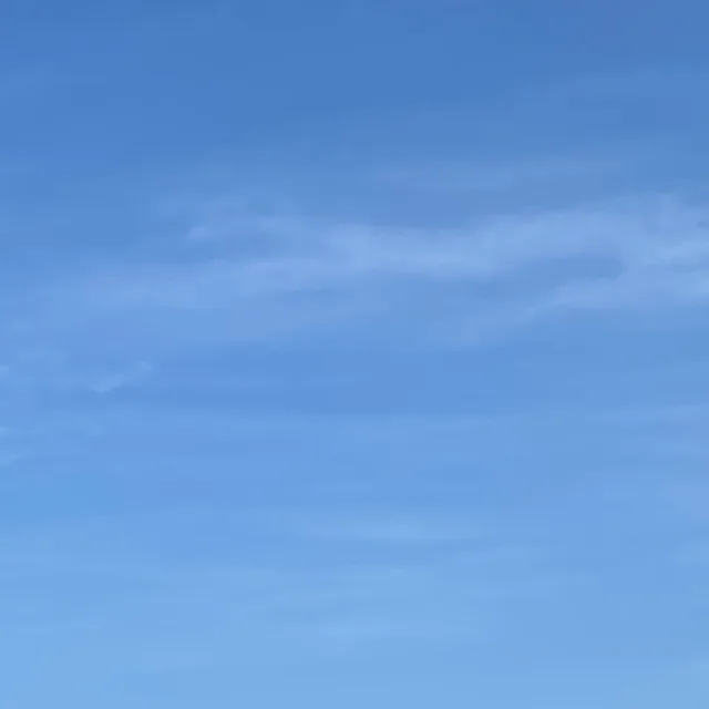 채소
