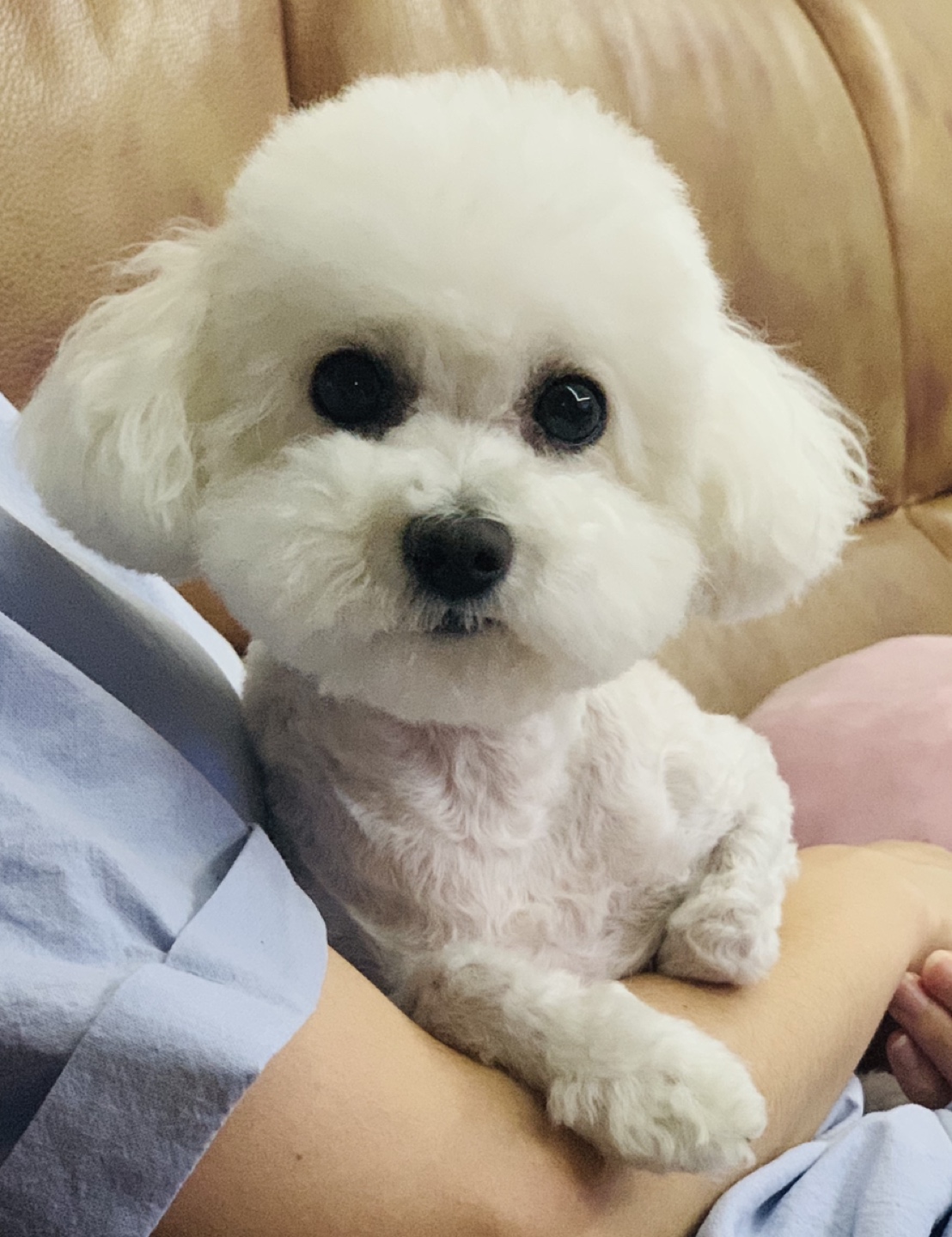 구름이언니