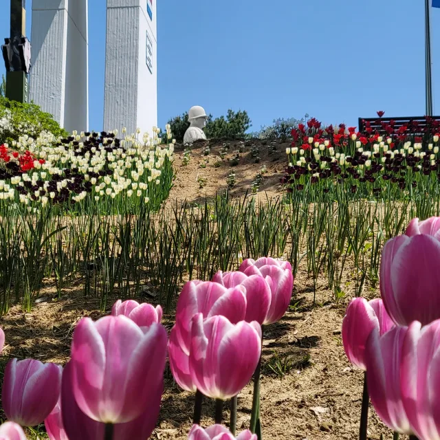 주쥬119