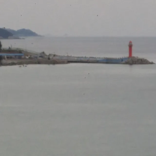 이제는말할수있다