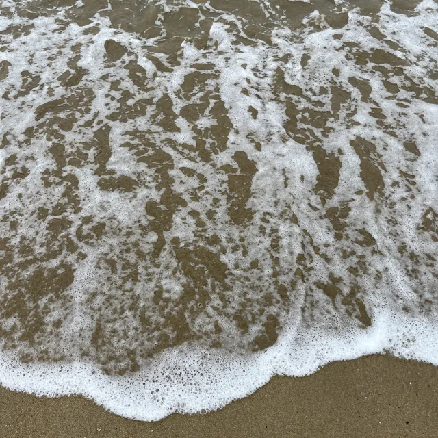 황재홍