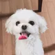 덕구