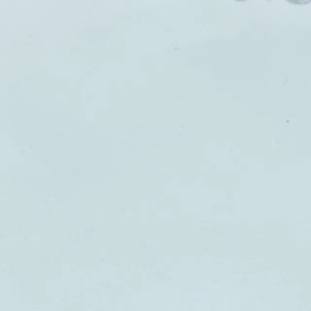스콘왕