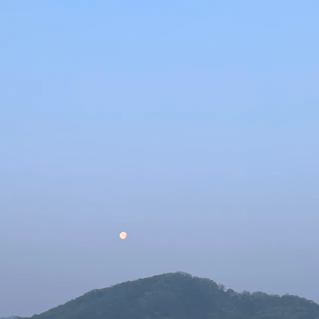 동태