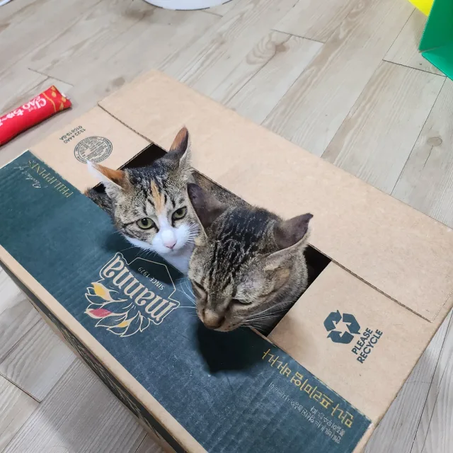 라라