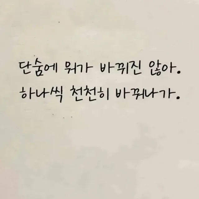 큐큐큐