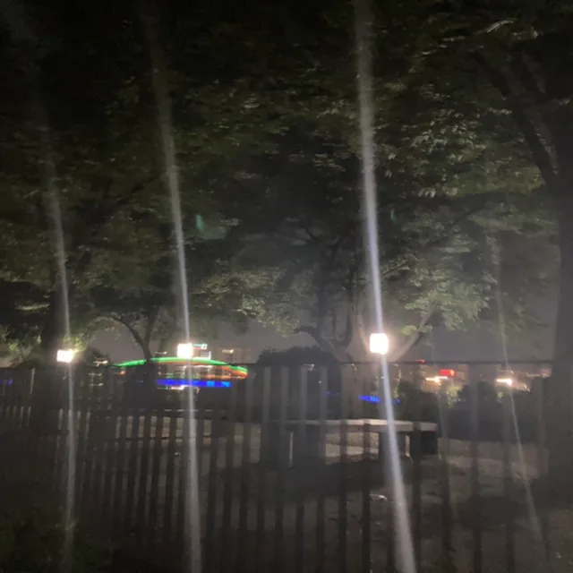 추아탕