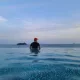 스미스태