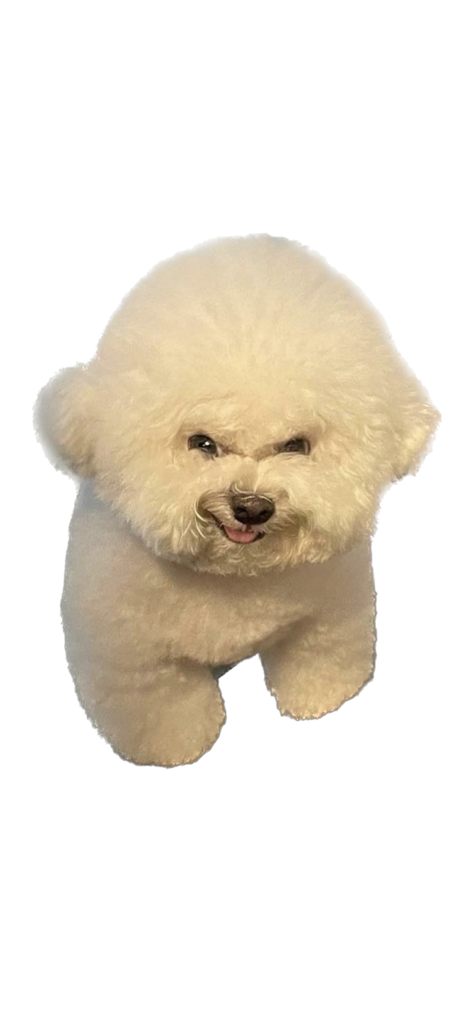 상민