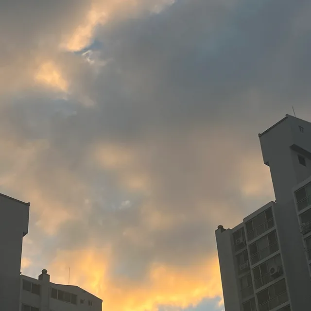 포메라니안짱