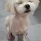 만세