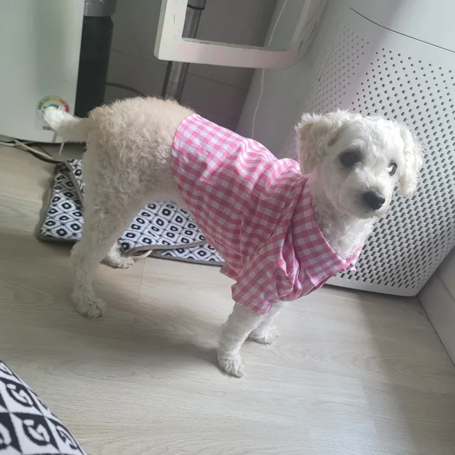 보리