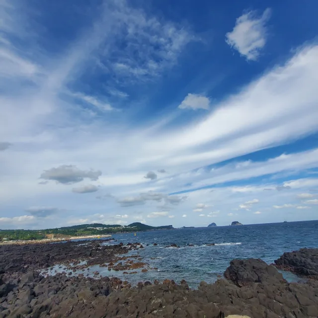 오드리