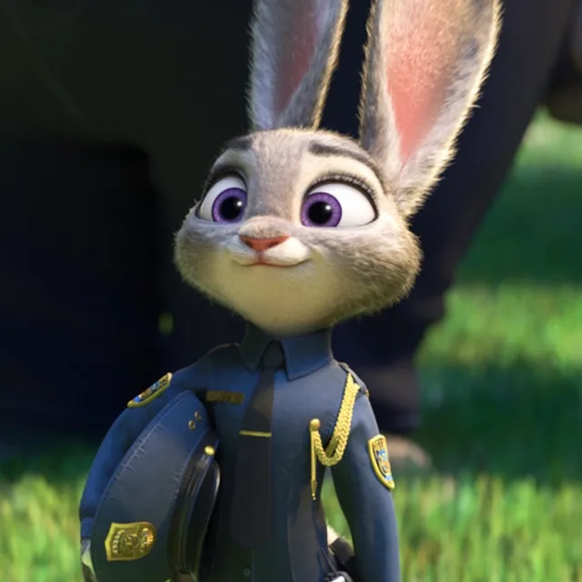 bunnybelt