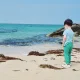 쭈니아빠