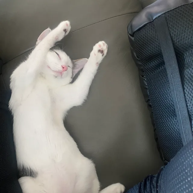 최기주