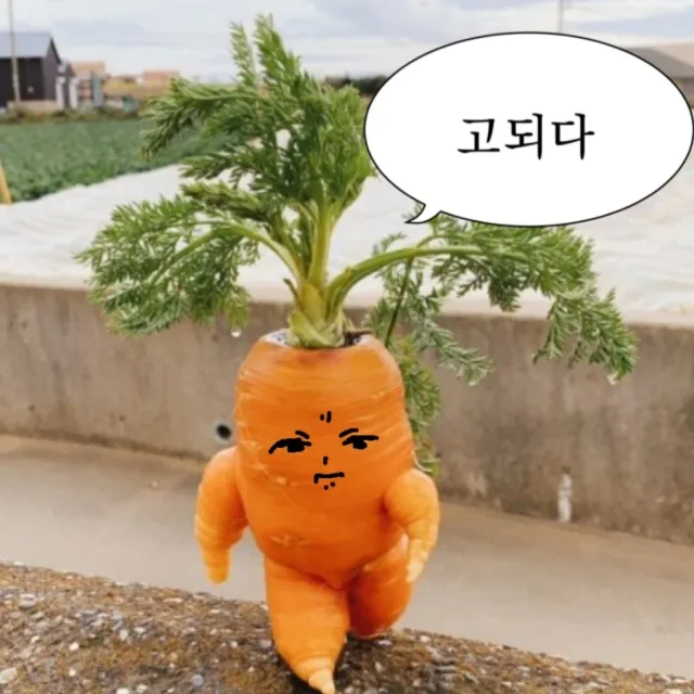 땹땹쨥쨥