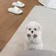 참깨빵