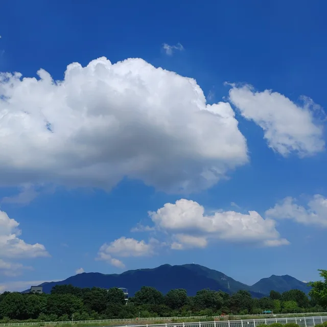 강산