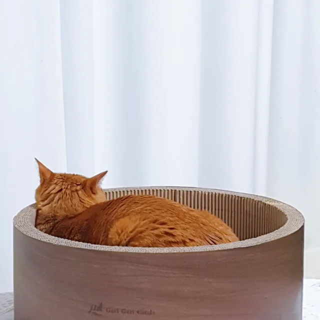 허니빠