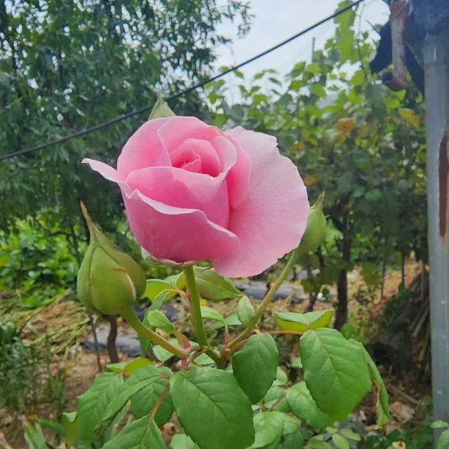 운수