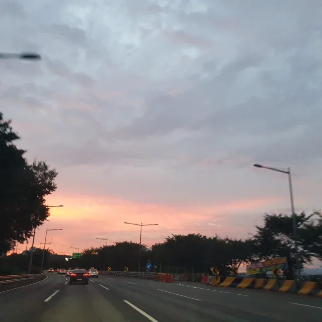 김감독