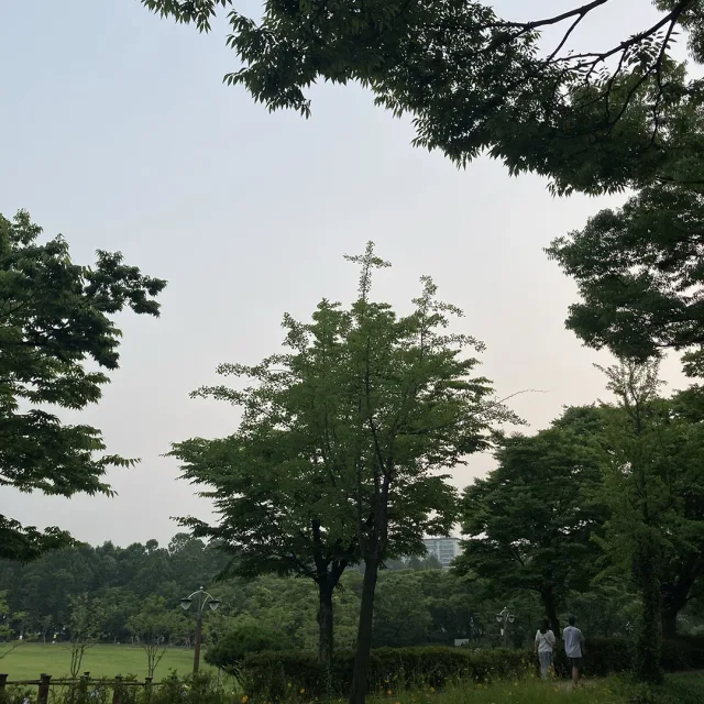 당케