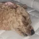 외나여니랑