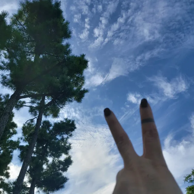 쮸이