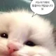용똔벌고이떠요