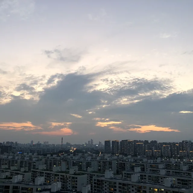 수구반장